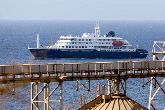 Brote de hantavirus en crucero: OMS dice que es bajo el riesgo de propagación