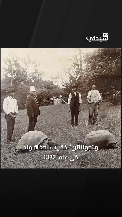 جوناثان.. أقدم سلحفاة عملاقة عاصرت 3 عصور