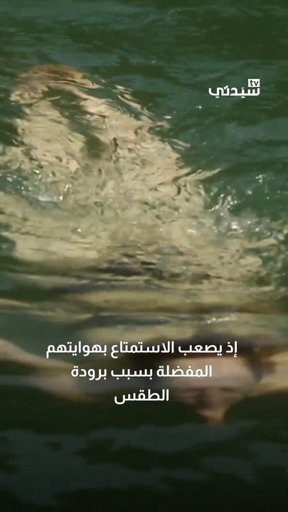 وجهات سياحية توفر لك سباحة ممتعة