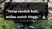 motivasi