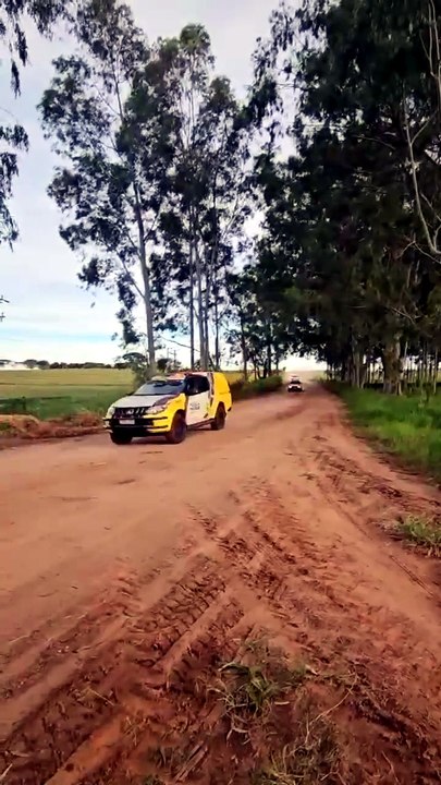 Polícia faz buscas por primas desaparecidas na zona rural de Paranavaí