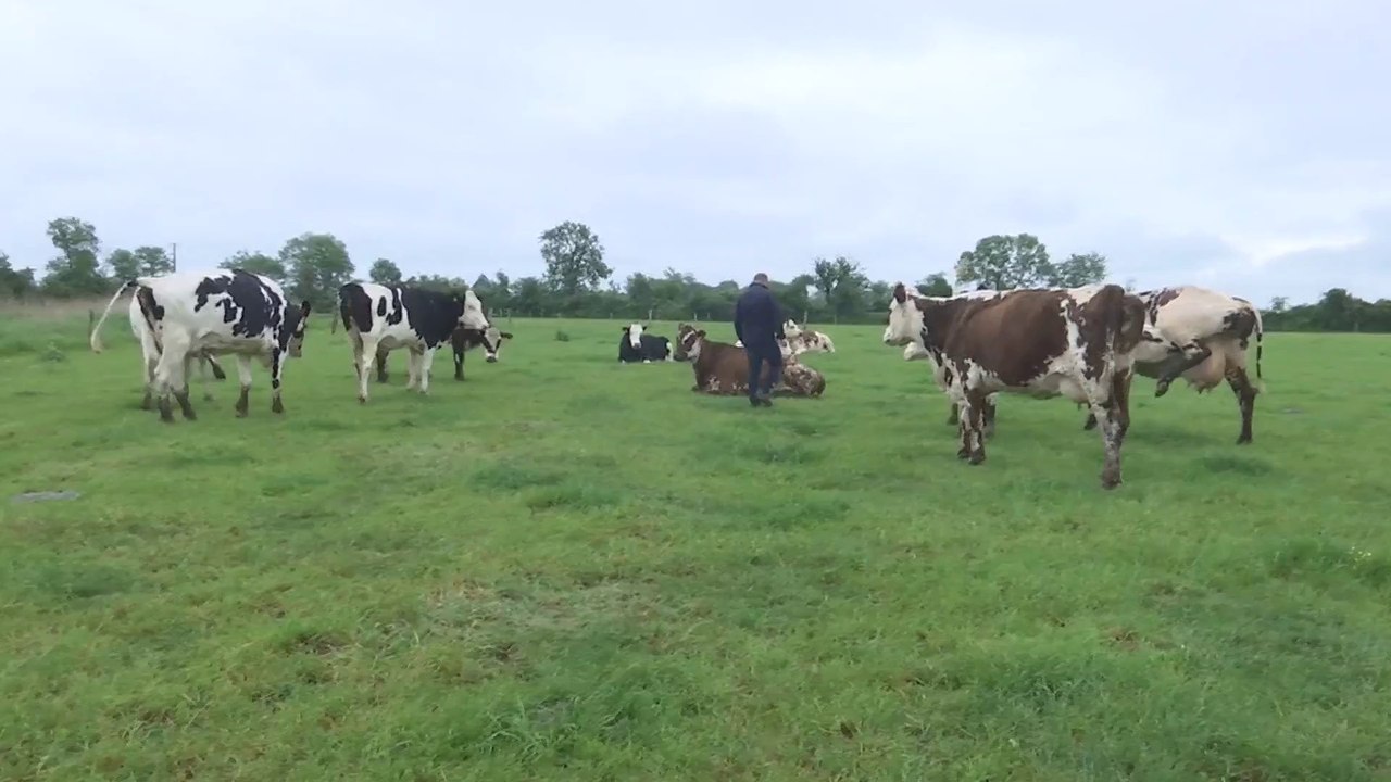Free party dans le Cher : quelles sont les conséquences pour les agriculteurs ?