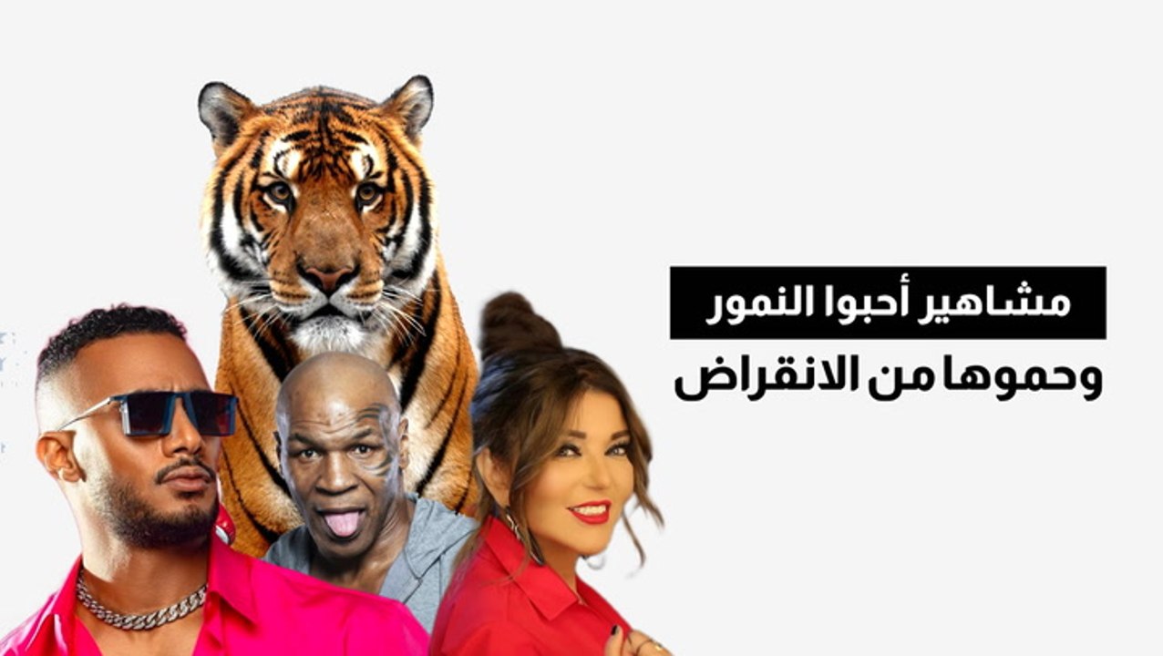 مشاهير أحبوا النمور وحموها من الانقراض