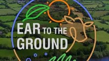 Ear to the Ground - Season 33 - Episode 10 Eng Sub