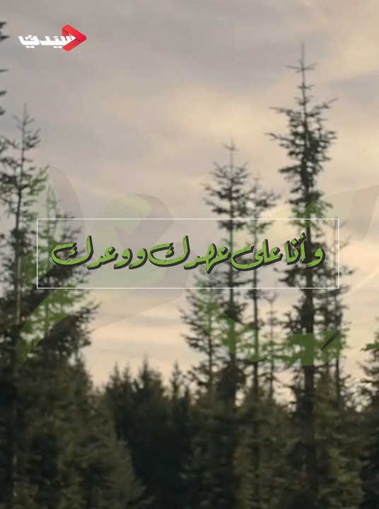 التاسع والعشرون