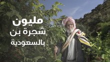 مهرجان البن السابع بجازان