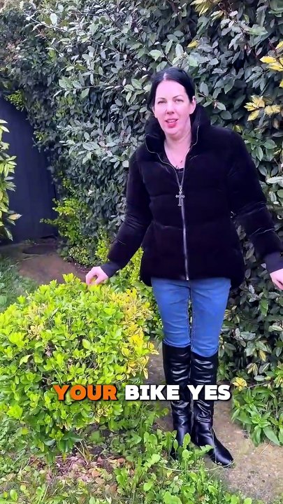 For Some Reason She Was Hiding Her Bike In My Garden