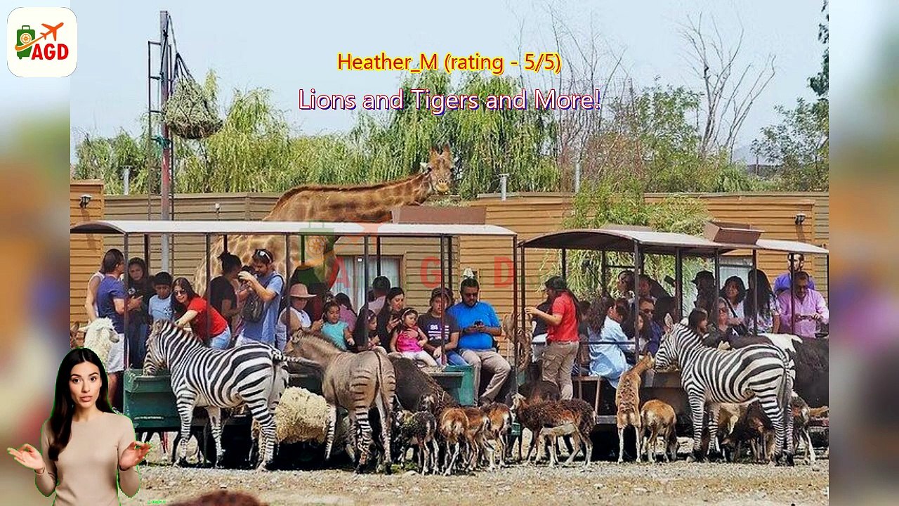 AGD - Review Safari Park Guided Tour – Big Cat and Herbivore Safari
