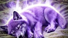 My Beggar Husband Is A Wolf God FULL DRAMA 2026 [Full Movie] [New Drama]Full EP - Full
