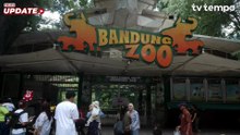 Kebun Binatang Bandung Kembali Terancam Krisis Pakan Satwa