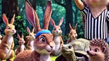 Rabbit and tortoise