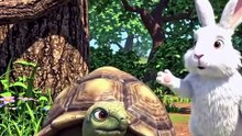 Rabbit and tortoise