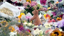 Australia opens inquiry into Bondi attack and rising antisemitism