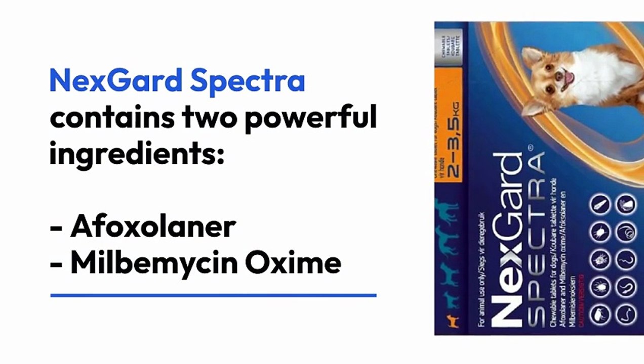 Simparica Trio vs NexGard Spectra: Which is best for your dog