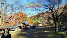 「TravelPZ」 Review SEIBU 1 Day Pass