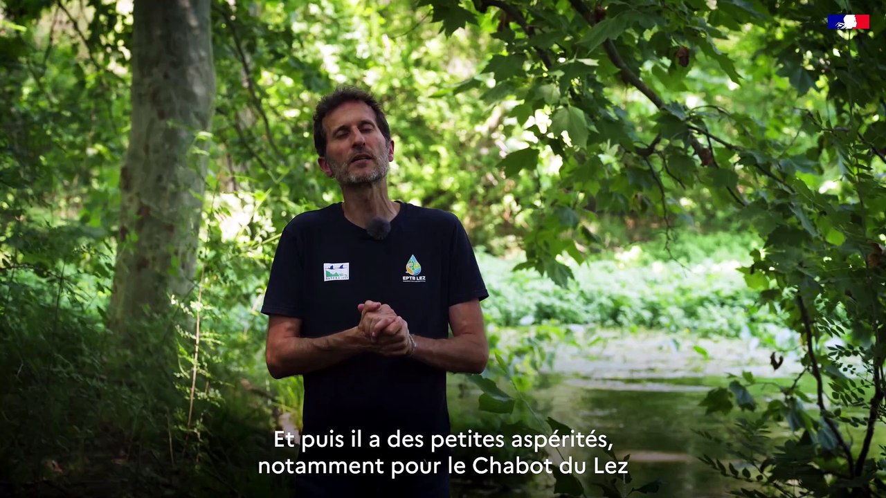 DREAL Occitanie - Plan National D'Action - #17 Chabots méditerranéens.