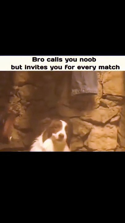 We all have that noob friend