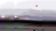 Bursa\'da yunus ailesi yağmur altında bakın nasıl görüntülendi