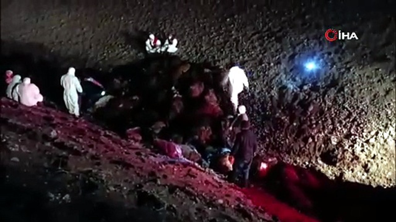 Iğdır’da arı saldırısının bilançosu