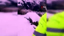 Tipi vurdu heyelan yolu kapattı, 2 çoban ve yaklaşık 650 küçükbaş hayvan yaylada mahsur kaldı