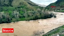 Çayda akıntıya kapılan atın kıyıya çıkıp kurtulduğu anlar kamerada