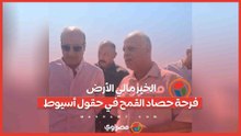 الخير مالي الأرض.. فرحة حصاد القمح في حقول أسيوط