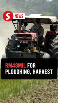 PM: Govt to advance RM48mil in ploughing, harvest incentives to farmers