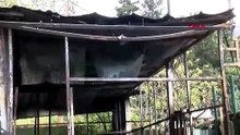 İstanbul'da kurban satış merkezinde korkunç ölüm