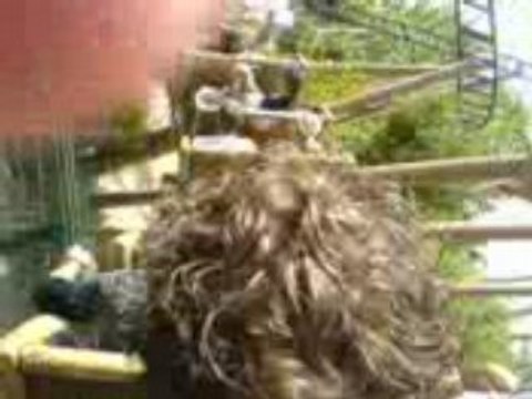 Europa Park - Pégasus