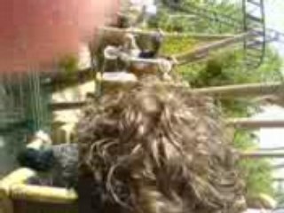 Europa Park - Pégasus