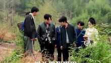 短剧 - 回到八零我能听到古董心声 (全集上篇)