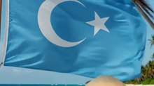Semih Berat SERT
