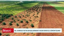 Sel sonrası Fıstık bahçelerindeki hasar dron ile görüntülendi