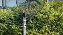 Mingletec BLDC industrial wall mounted fan #mingletec #industrialfan #wallfan #ventilation #factory #outdoor #manufacturer #fyp
