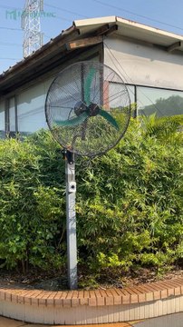 Mingletec BLDC industrial wall mounted fan #mingletec #industrialfan #wallfan #ventilation #factory #outdoor #manufacturer #fyp