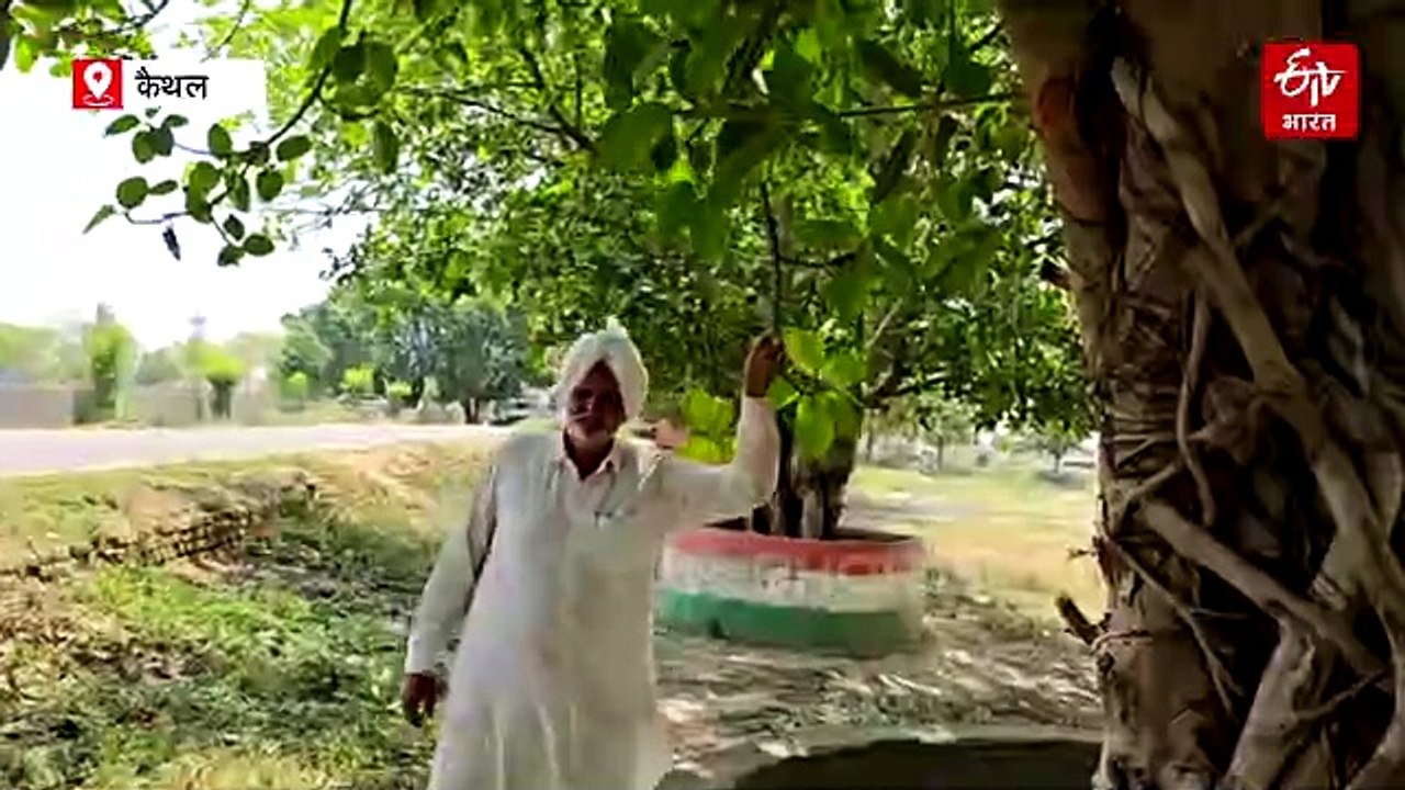 हरियाणा में हरियाली फैला रहा कैथल का "ट्री मैन"...