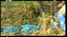 Maurizio Minghella: Vita da serial killer | #Chilhavisto 2008.11.03