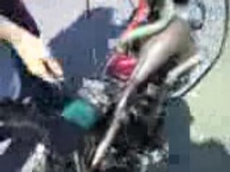 Proto AM6 sur cadre de scoot !