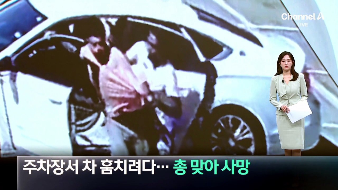 주차장서 차 훔치려다…총 맞아 사망