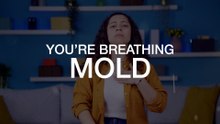 Hidden Mold Threats in Your Home | Green Planet Restoration