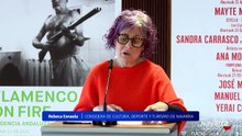 Viana, Estella y Pamplona acogerán el Flamenco On Fire 2026