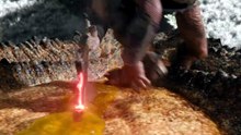 Predator - Badlands (2025) - #PredatorBadlands #Predator #SciFiMovies #ActionMovies #HollywoodMovies