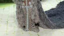 Looks mujeres gala MET
