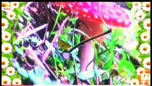 TV PINGUIM Bzzzzz 23