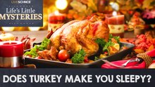 Is There A Myth That Eating Turkey Makes You Sleepy?
