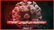 مخاوف من انتقاله بين البشر.. ماذا نعرف عن فيروس "هانتا"؟