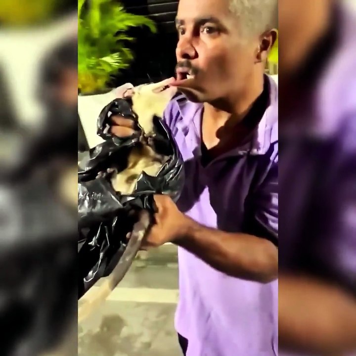 Video divertido