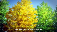 [Witanime.com] CD2NKOTTNN EP 05 FHD