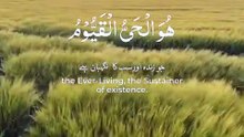 quran pak tilawat