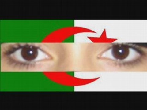 Top Staifi & Chaoui 2008